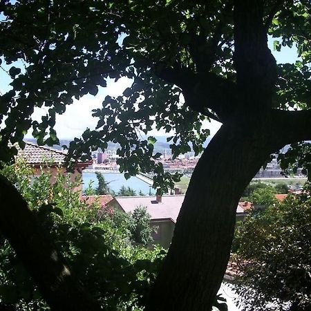 Studio With Garden Near The Sea Koper Dış mekan fotoğraf