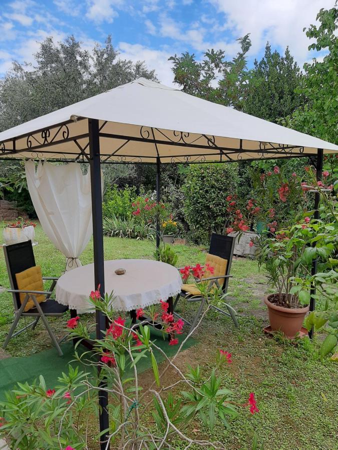 Studio With Garden Near The Sea Koper Dış mekan fotoğraf
