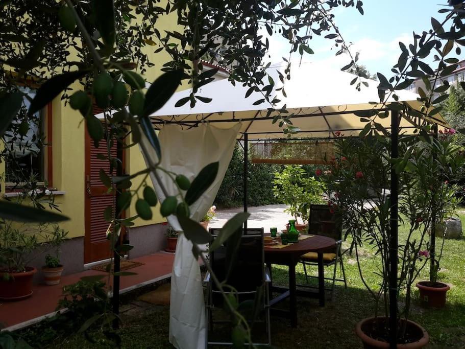 Studio With Garden Near The Sea Koper Dış mekan fotoğraf